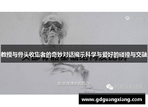 教授与骨头收集者的奇妙对话揭示科学与爱好的碰撞与交融